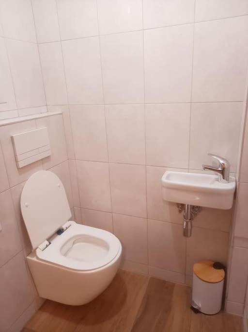 Noclegi Majowy Zakatek Zboiska Extérieur photo